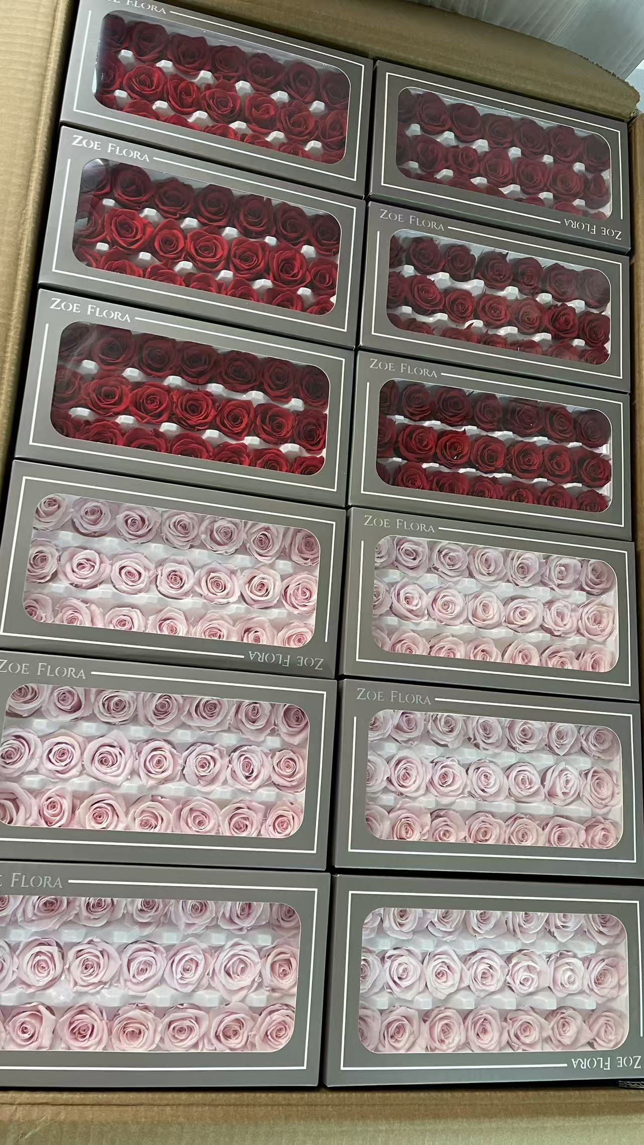 Gypsophila Babysbreath