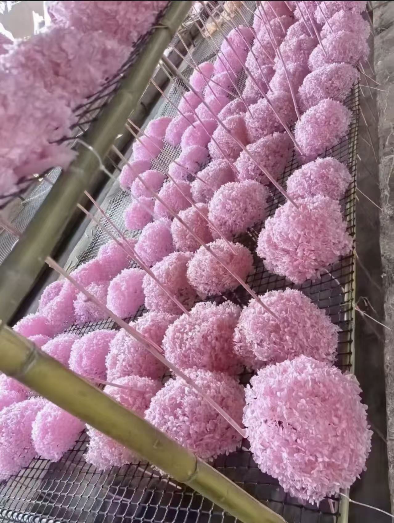 Preserved Hydrangeas