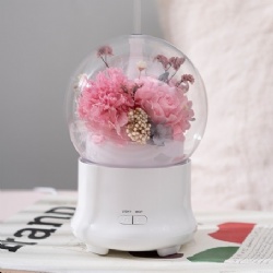 Preserved Flowers Eternal Flower Humidifier/Romantic Pink