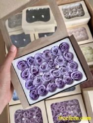 preserved roses exclusive roses 24 pcs/ carton  2-3cm