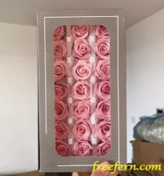 Preserved Rose 2-3cm roses High quality preserved rose 2-3cm roses head forever roses preserved flower  Freefern.com