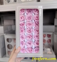 Preserved Rose 2-3cm roses High quality preserved rose 2-3cm roses head forever roses preserved flower  Freefern.com