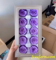 Preserved Rose 4cm roses High quality preserved rose 4cm roses head forever roses preserved flower  Freefern.com